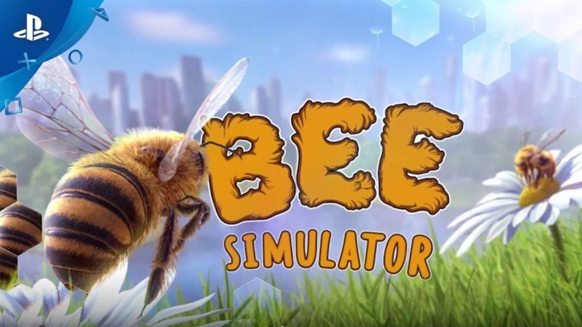 Canal das Bee - Sim, sabemos que o jogo stop/adedanha